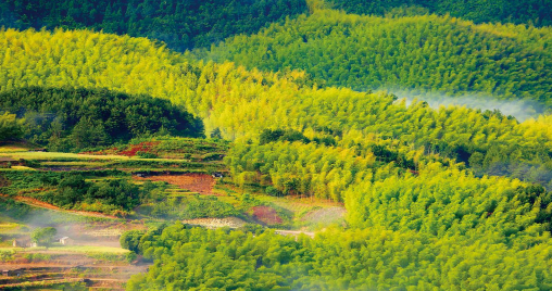 ȻYԴYa(chn)澎