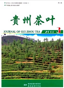 貴州茶葉