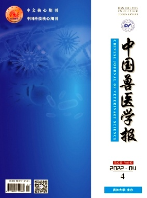 中國獸醫學報是一級學報嗎