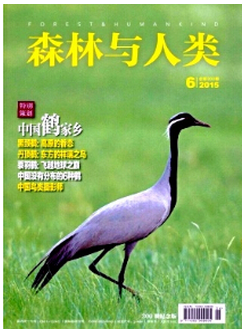 ѹ؈D1512101444_21.png