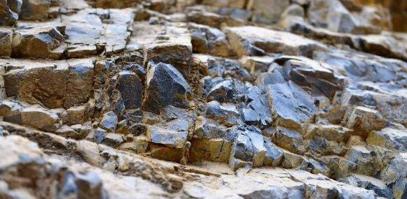 自然地理學課堂教學及野外實習研究