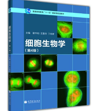 ν̌W(xu)t(y)W(xu)(x)W(xu)̌W(xu)еđ(yng)