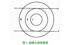 \Մ(du)Ĥօ^(q)ּ(j)R(yng)