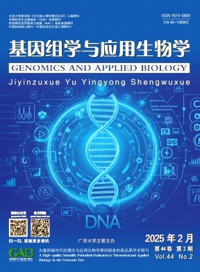 MW(xu)c(yng)W(xu)