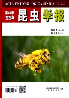 xW(xu)(bo)