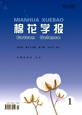޻W