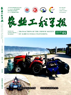 rǏW