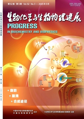 ﻯW(xu)cMչ