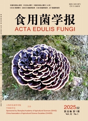 ʳþW