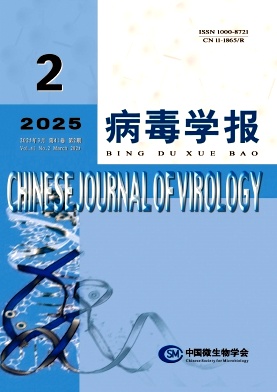 W(xu)(bo)