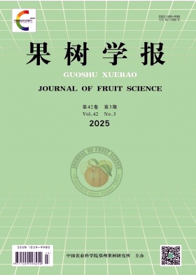 W(xu)(bo)