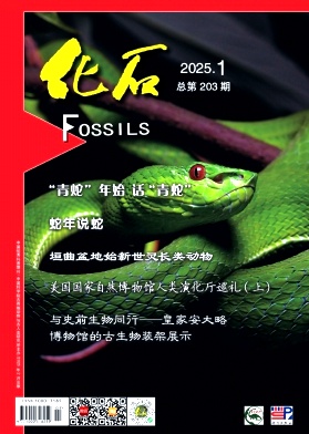 ʯ